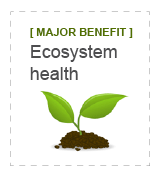 Major Benefit